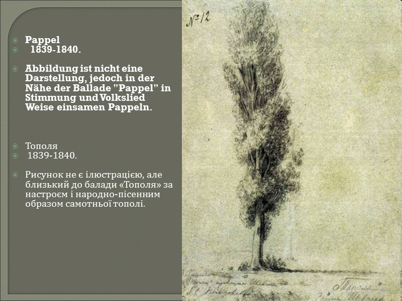 Pappel   1839-1840.  Abbildung ist nicht eine Darstellung, jedoch in der Nähe